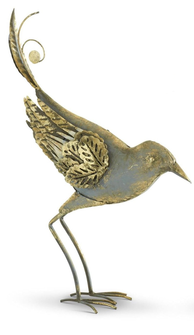 Gray & Gold Metal Bird, Looking down