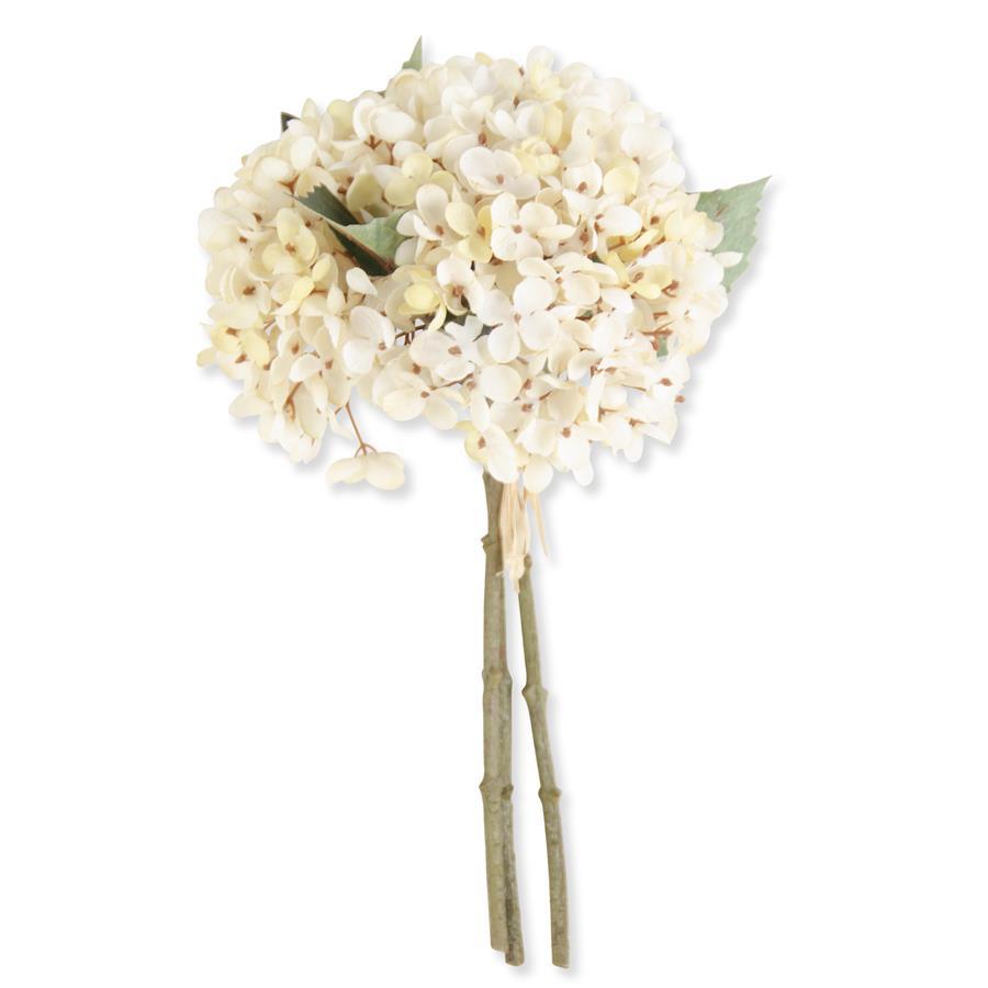 CREAM TWO TONE HYDRANGEA BUNDLE (3 STEMS)