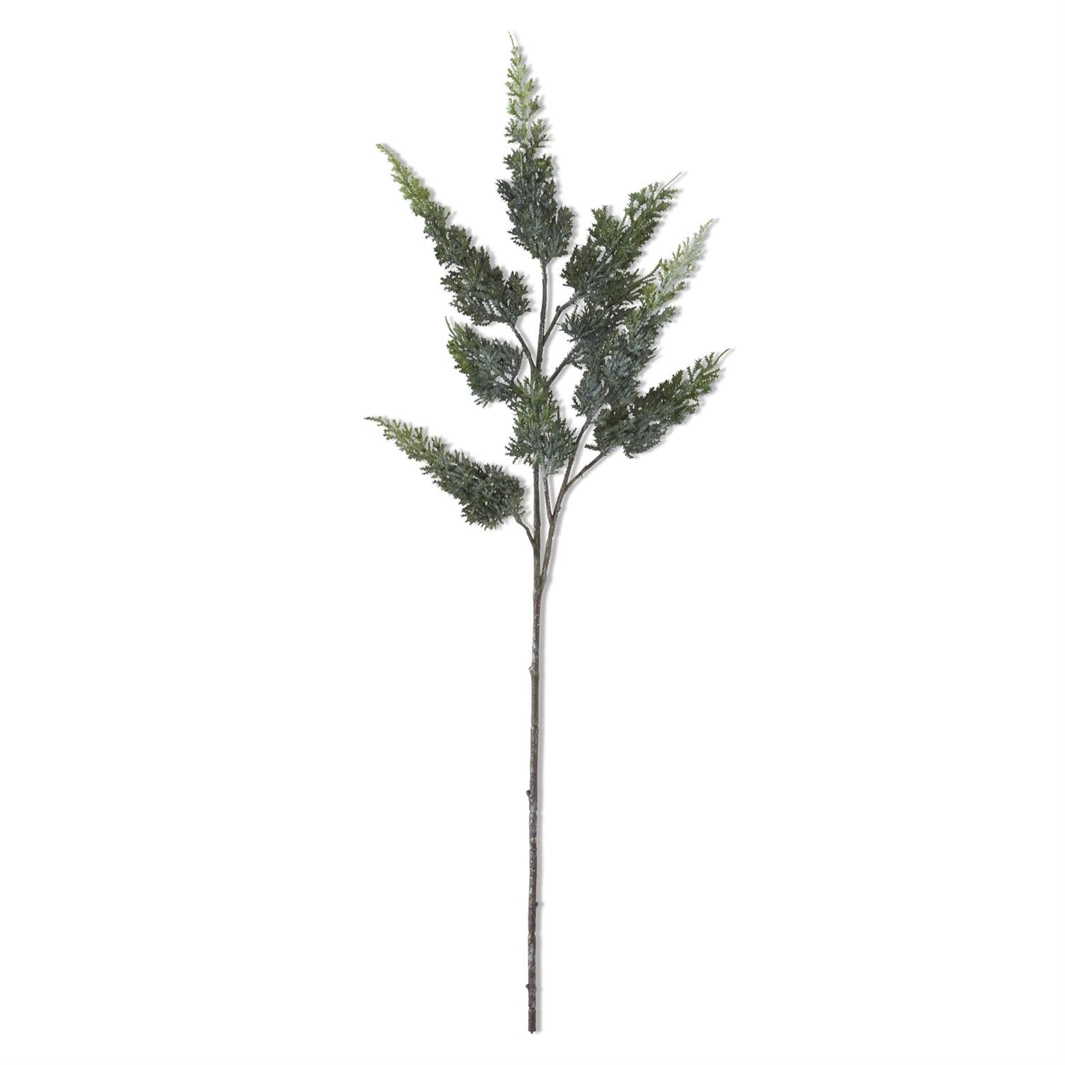 Real Touch Cypress Pine Stem