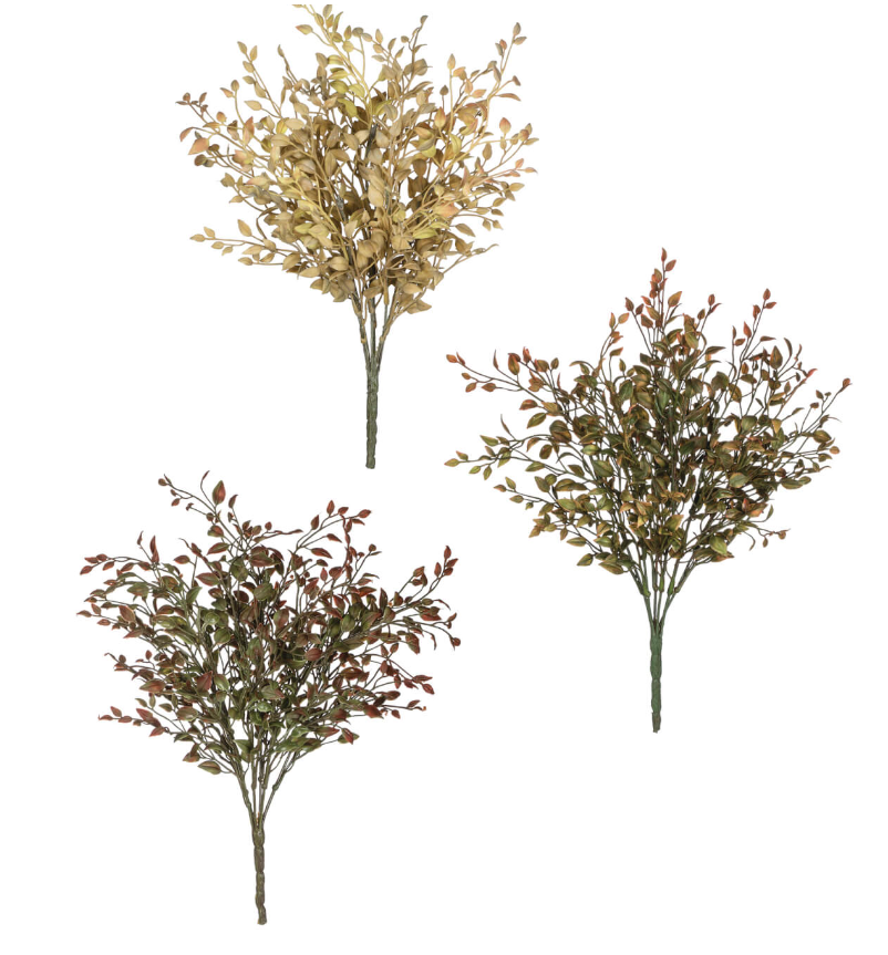 Bean Sprout Bush - 3 colors