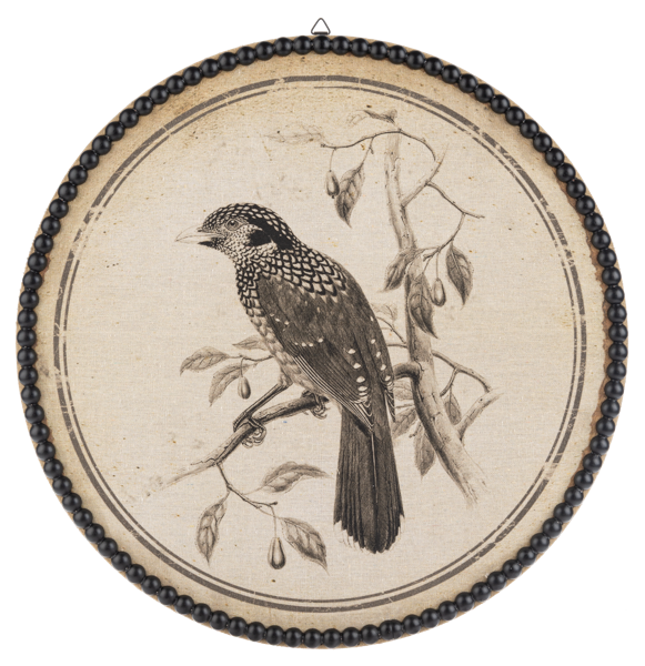 Round Bird Pen & Ink Wall Decor