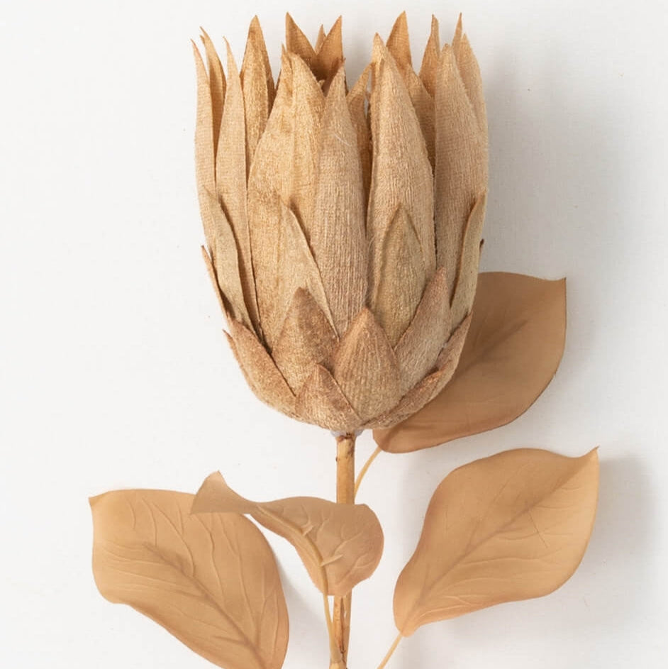 Protea Spray - Brown