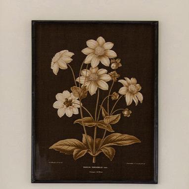 Garden Floral Botanical Framed Print, Dahlia