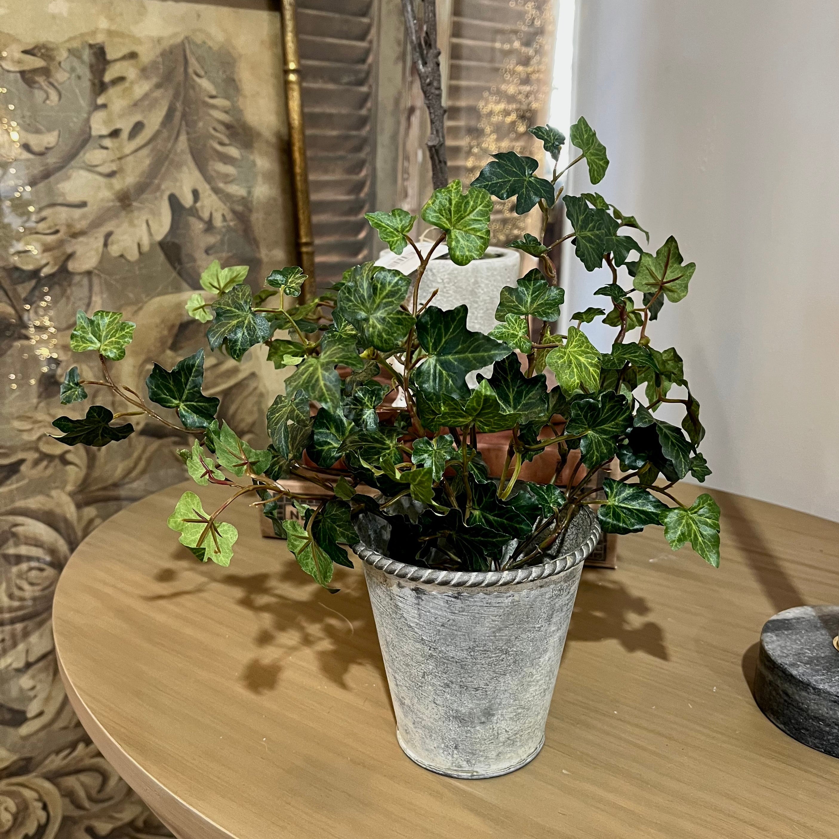Lace Ivy