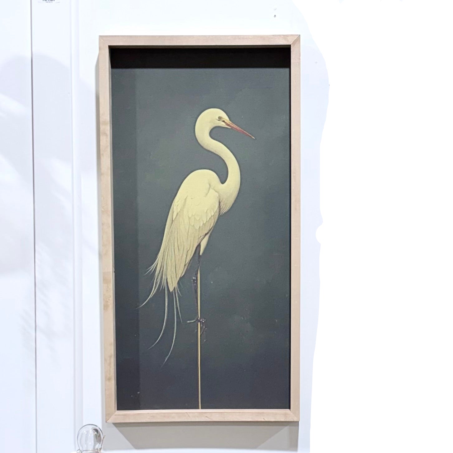 OAK FRAME | NATURAL CANVAS PELICAN