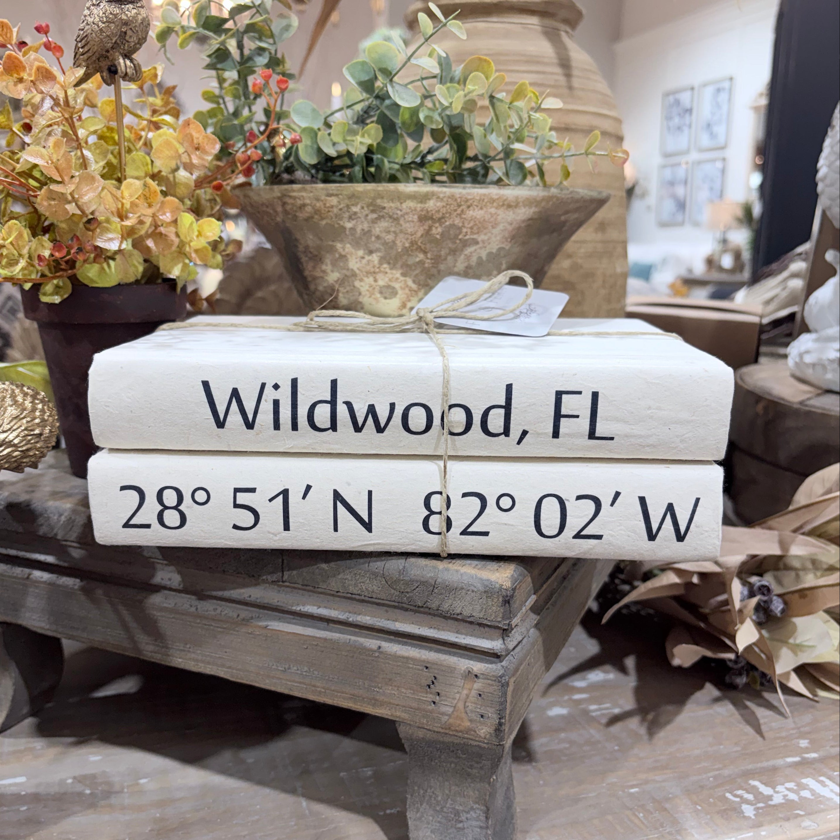 2 Vol. City and Coordinates on White Reef / Off-White Cover