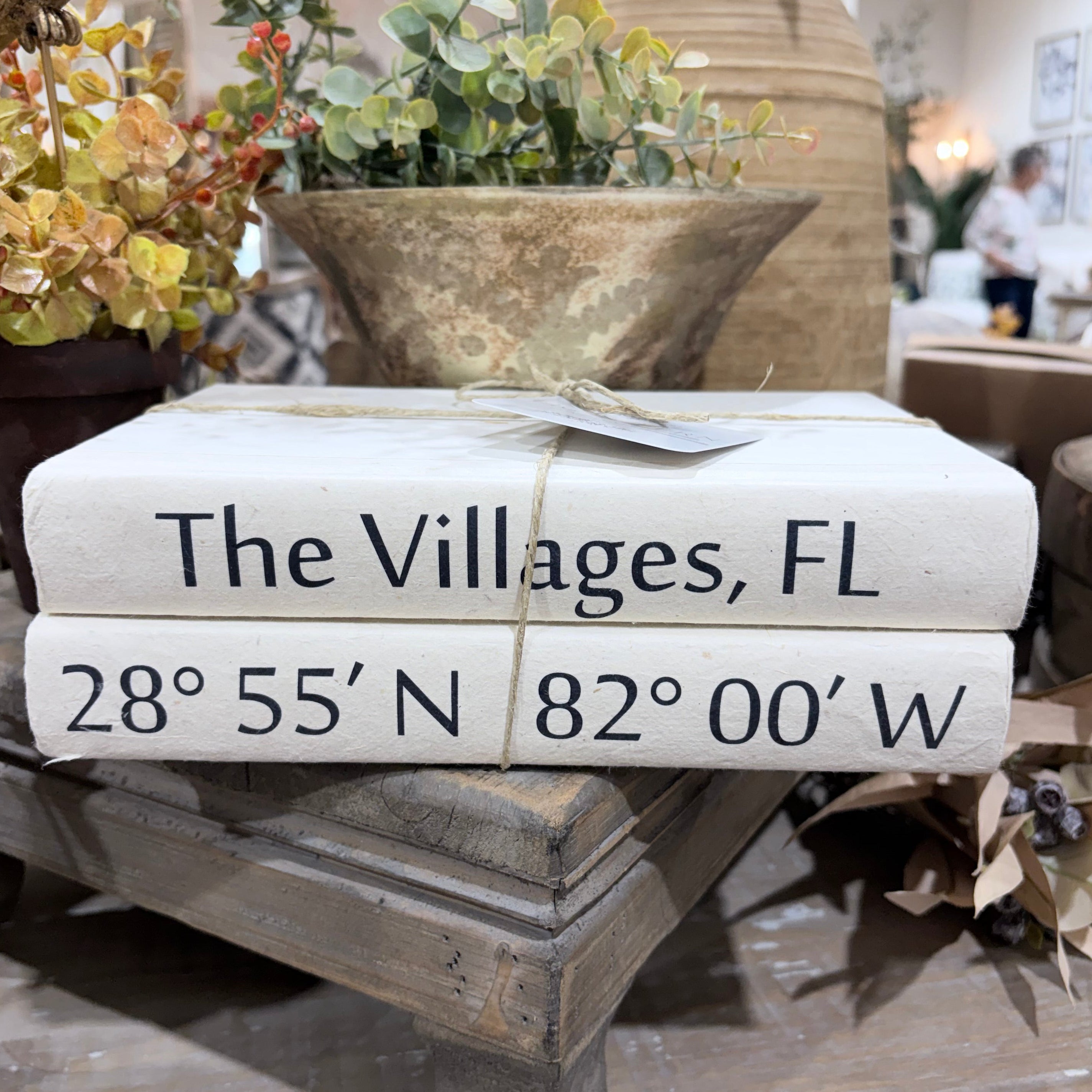 2 Vol. City and Coordinates on White Reef / Off-White Cover