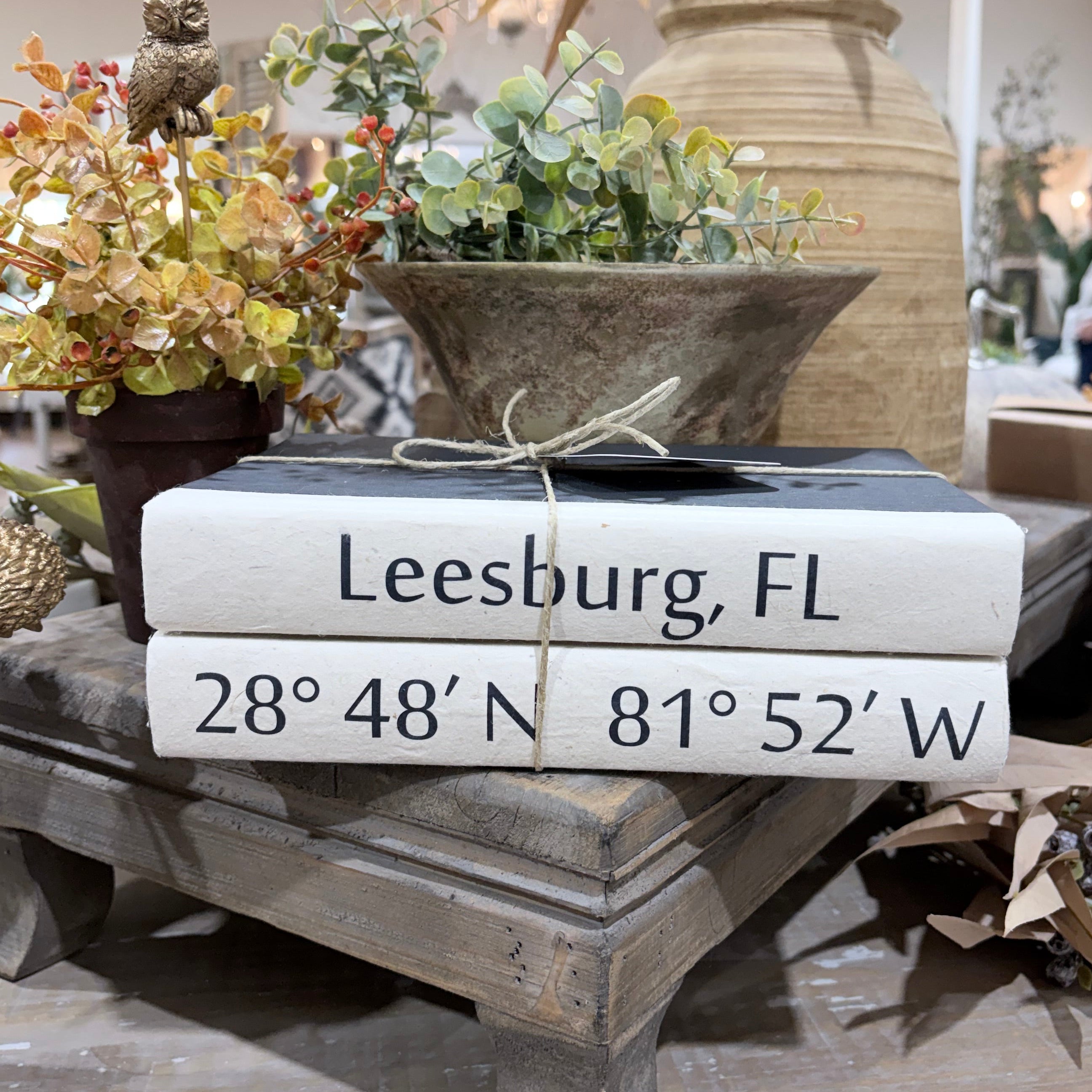 2 Vol. City and Coordinates on Black / Off-White Cover