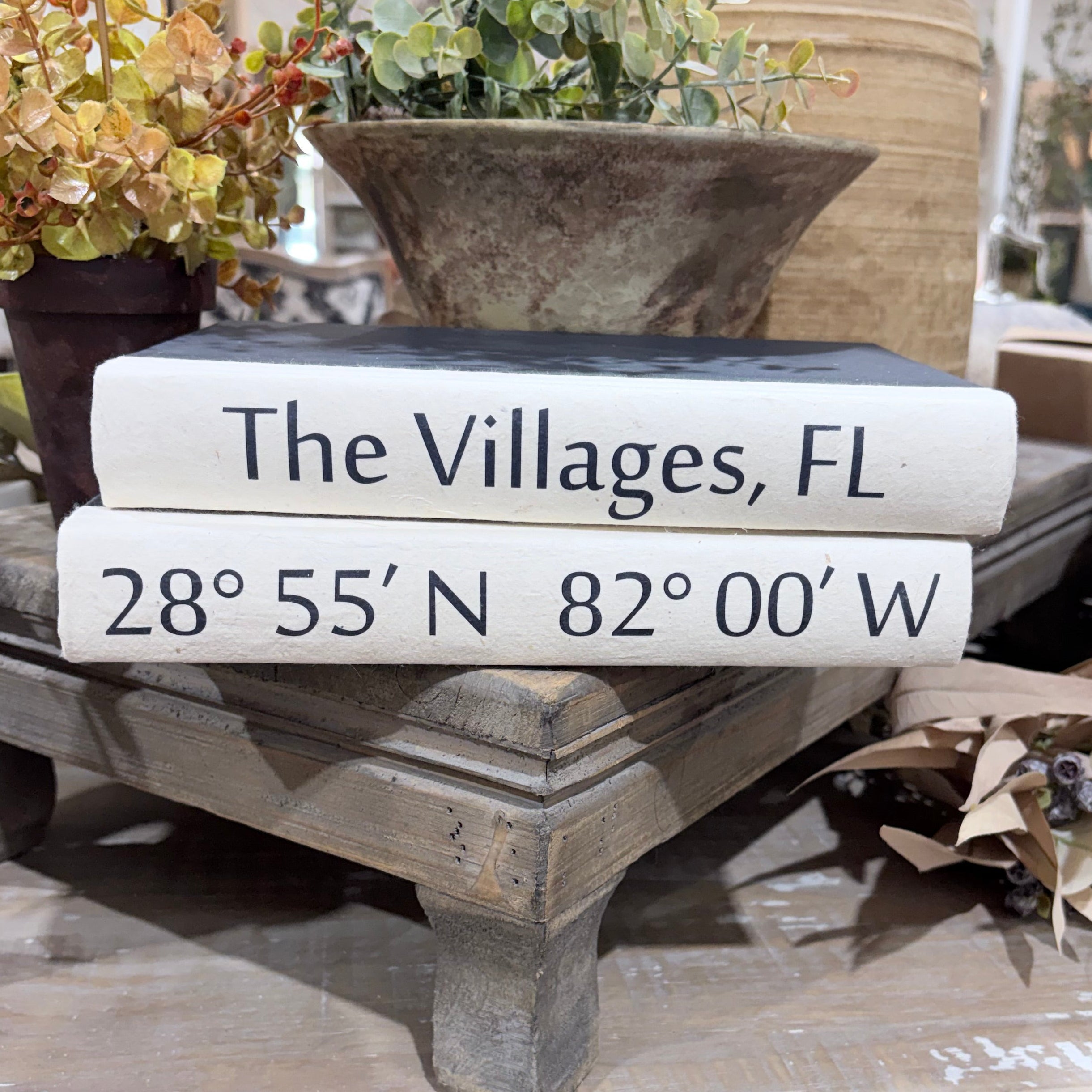 2 Vol. City and Coordinates on Black / Off-White Cover