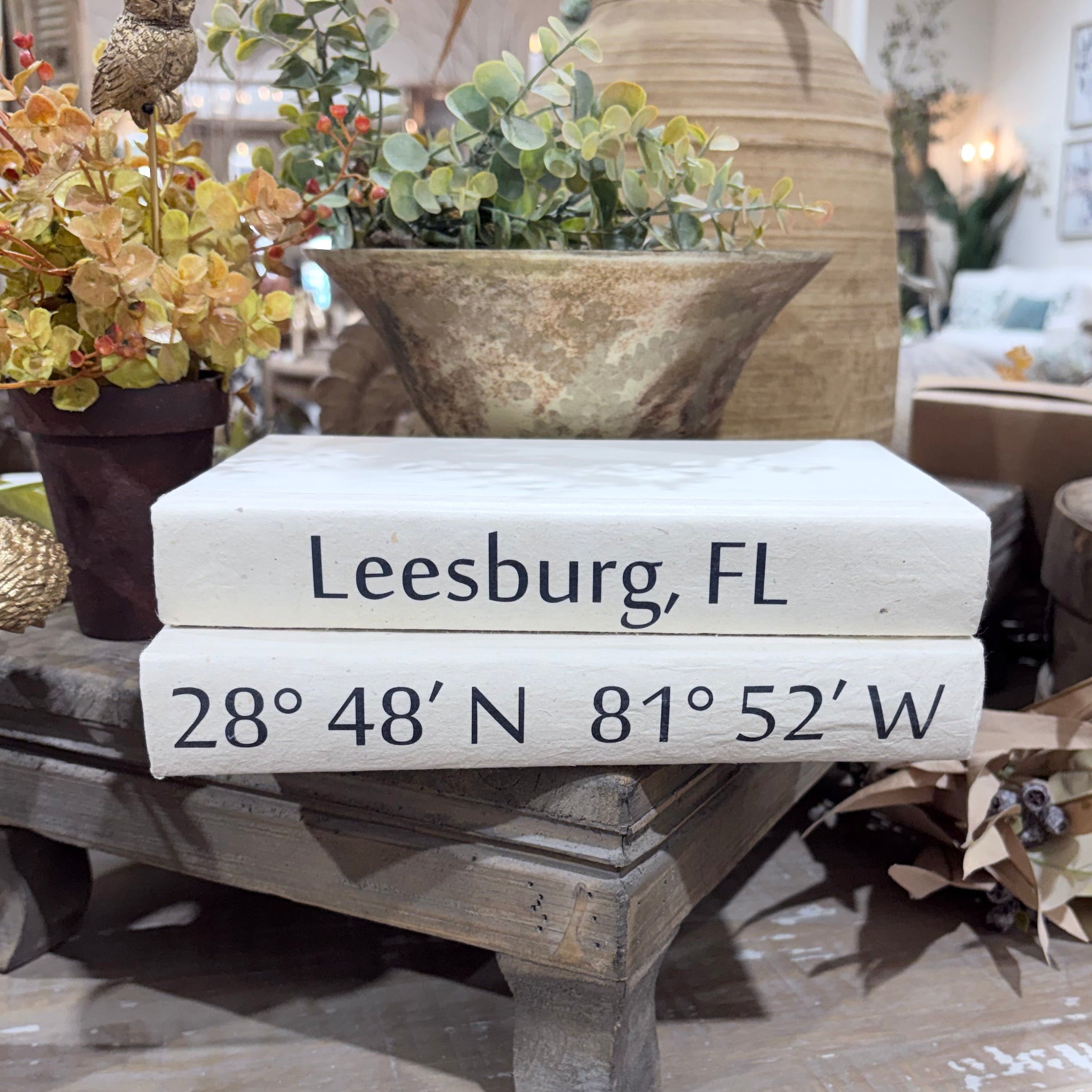 2 Vol. City and Coordinates on White Reef / Off-White Cover