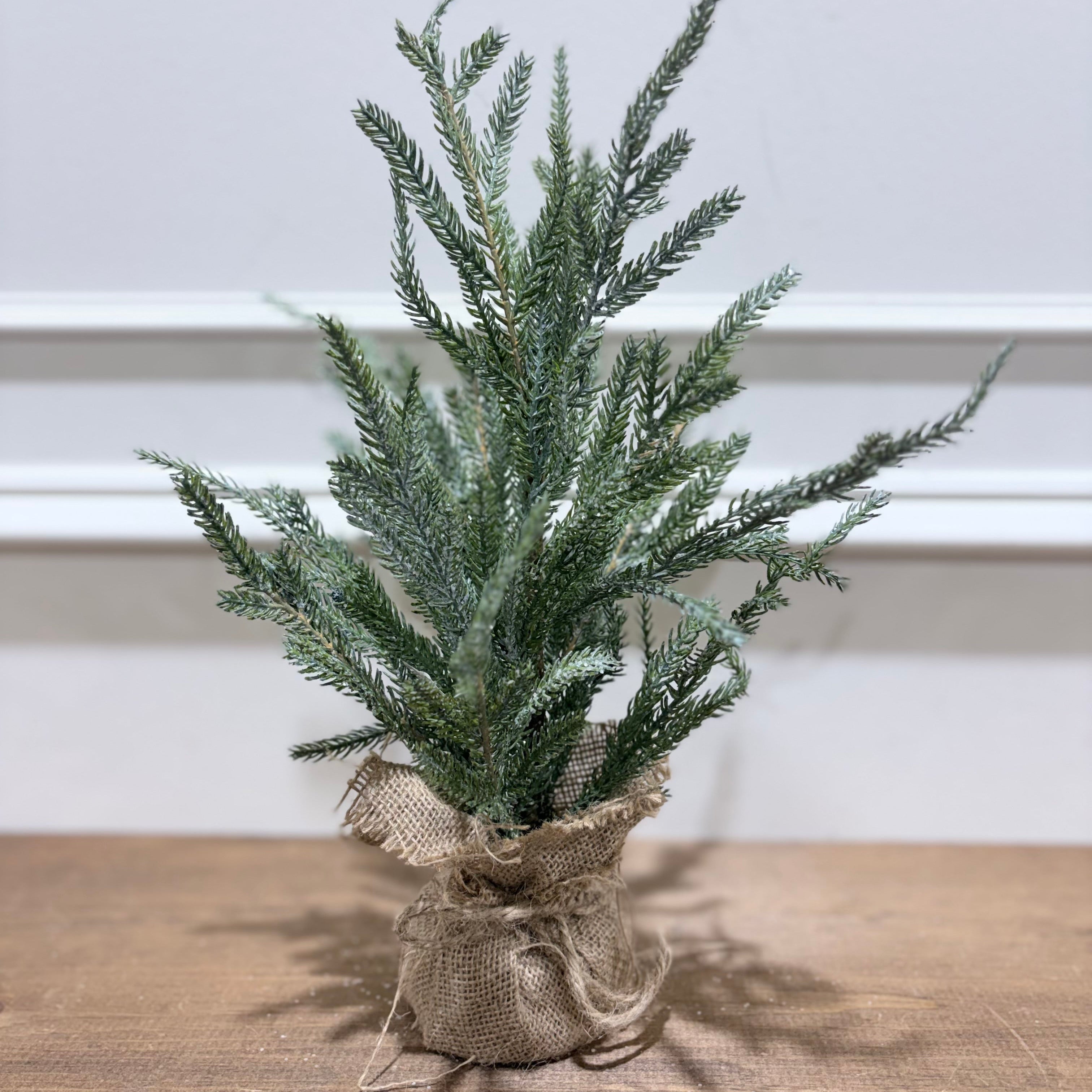 Frosted Austrian Pine Tree