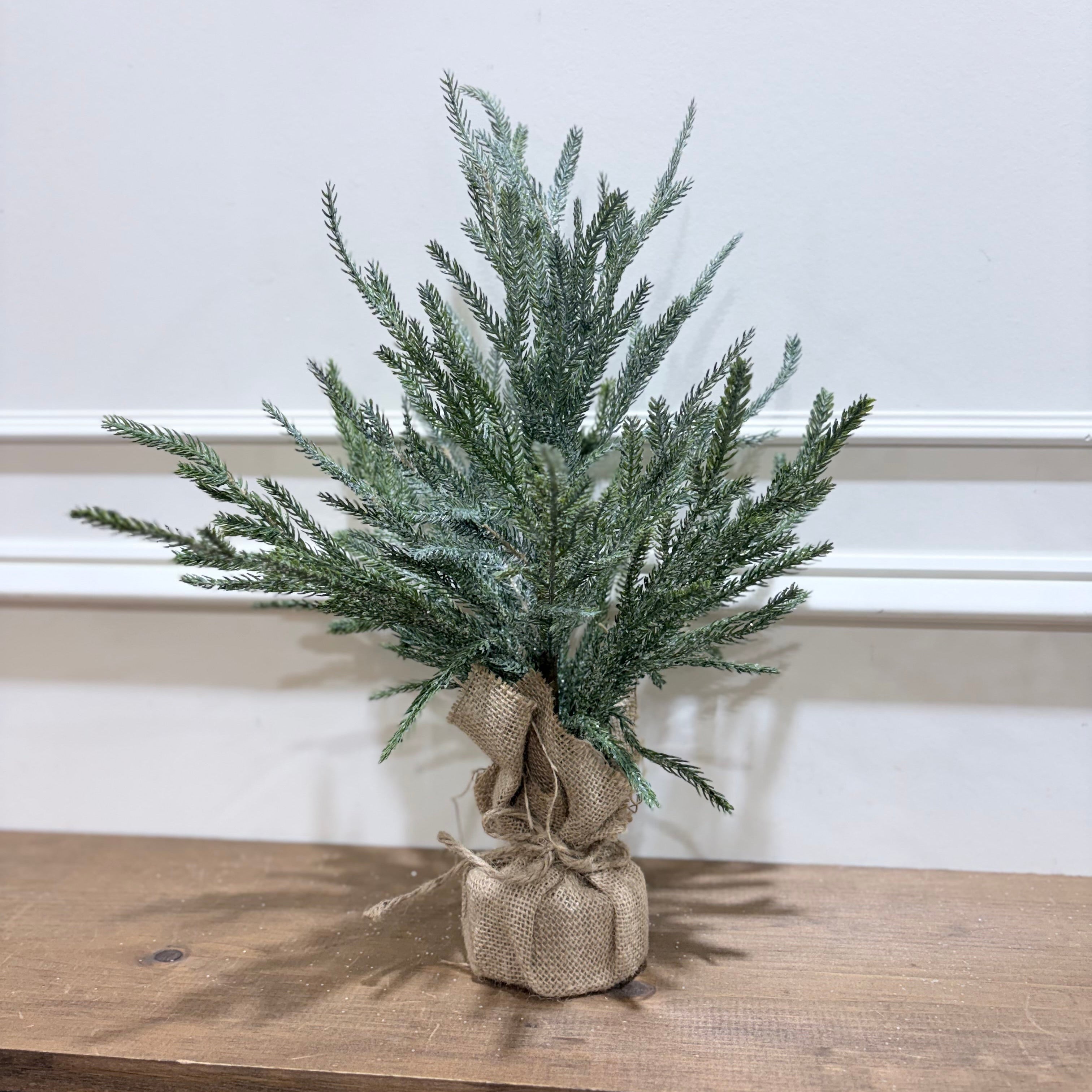 Frosted Austrian Pine Tree