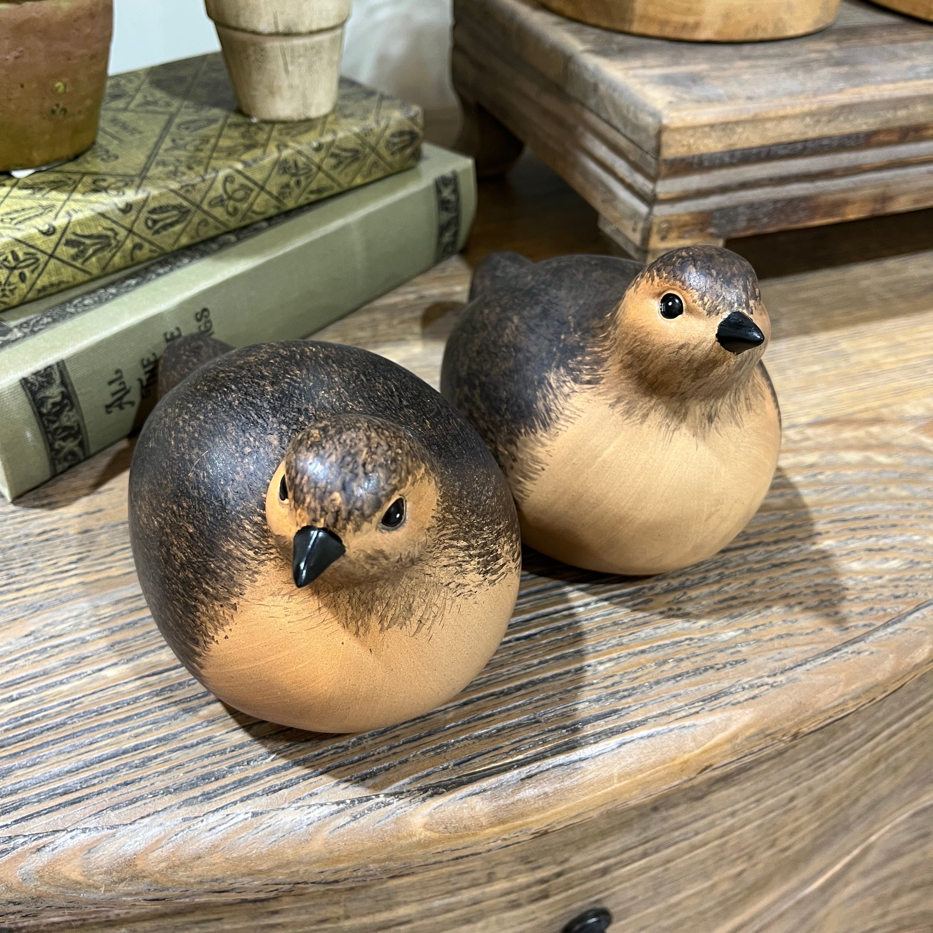 Smooth Natural Brown Resin Quail