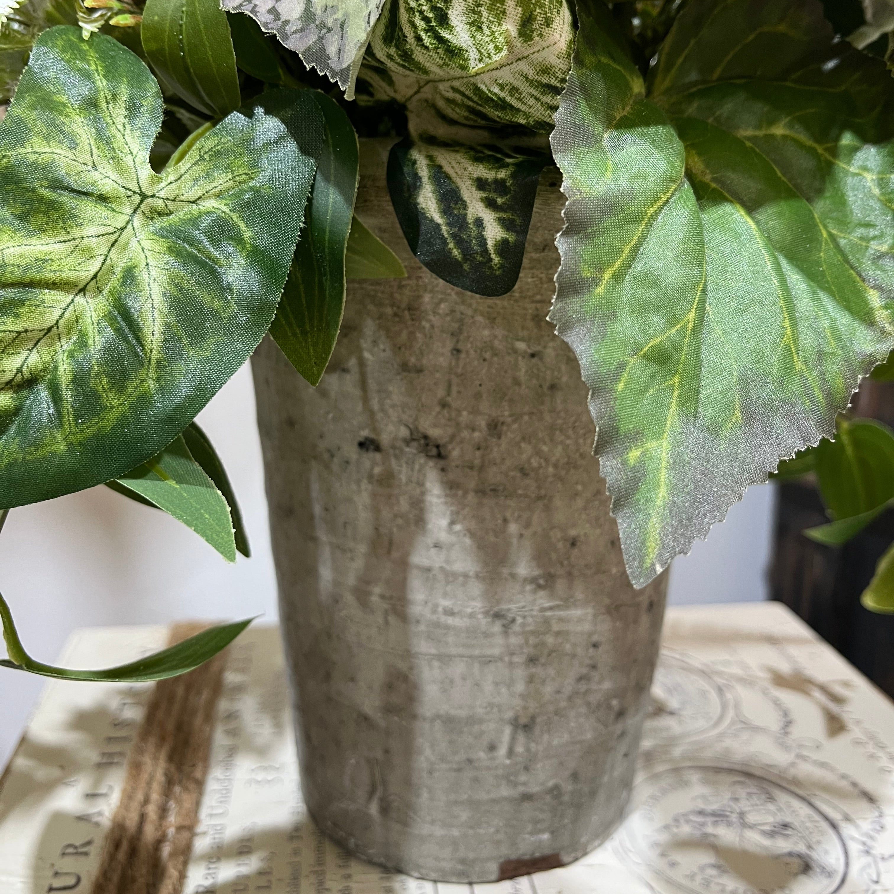 Fern Greenery in Gray Ceramic