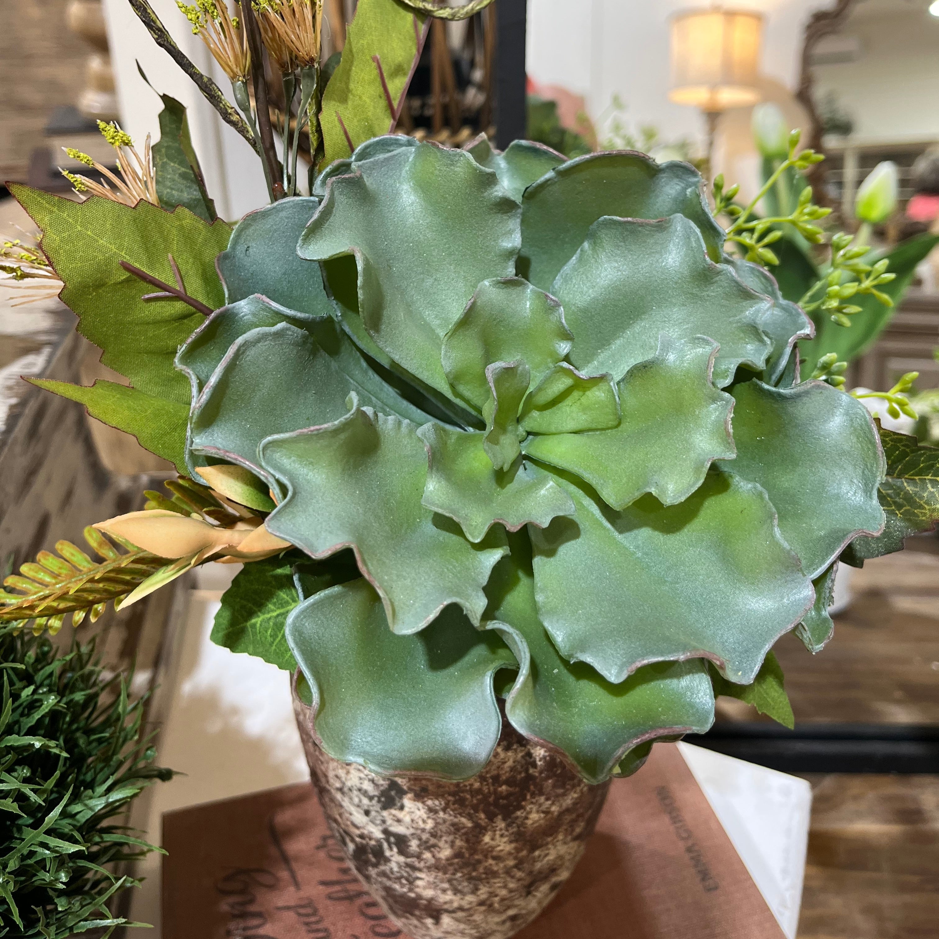 Modern Succulent Floral in Terra Cotta Vase