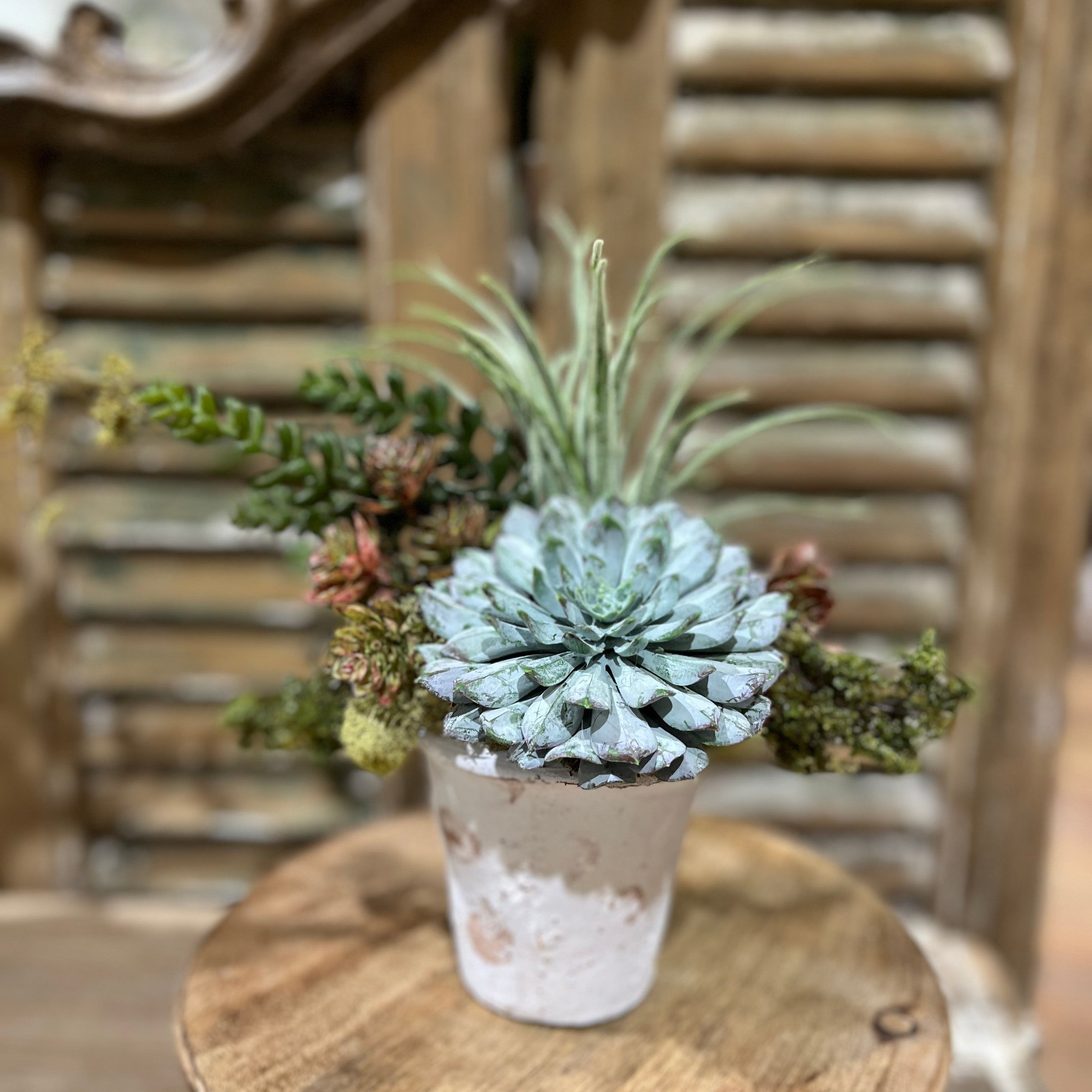 Small Dusty Green Succulent Floral