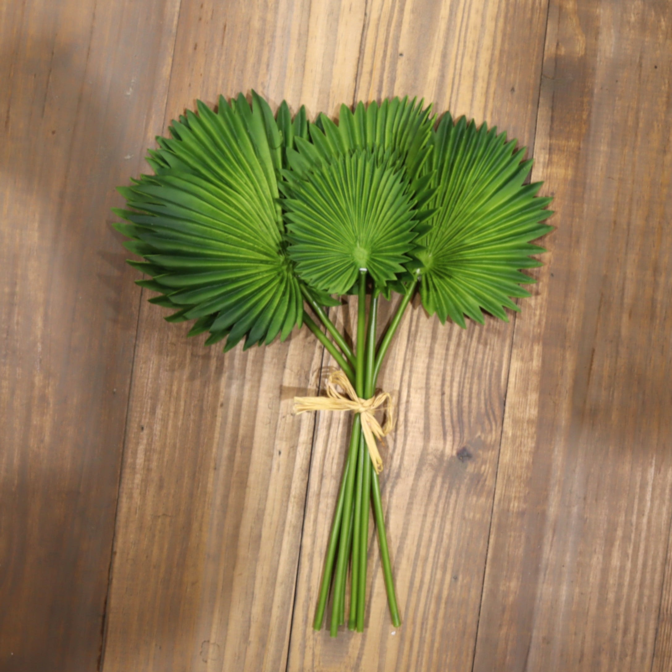 16 Inch Real Touch Fan Palm Leaf Bundle (6 Stems)