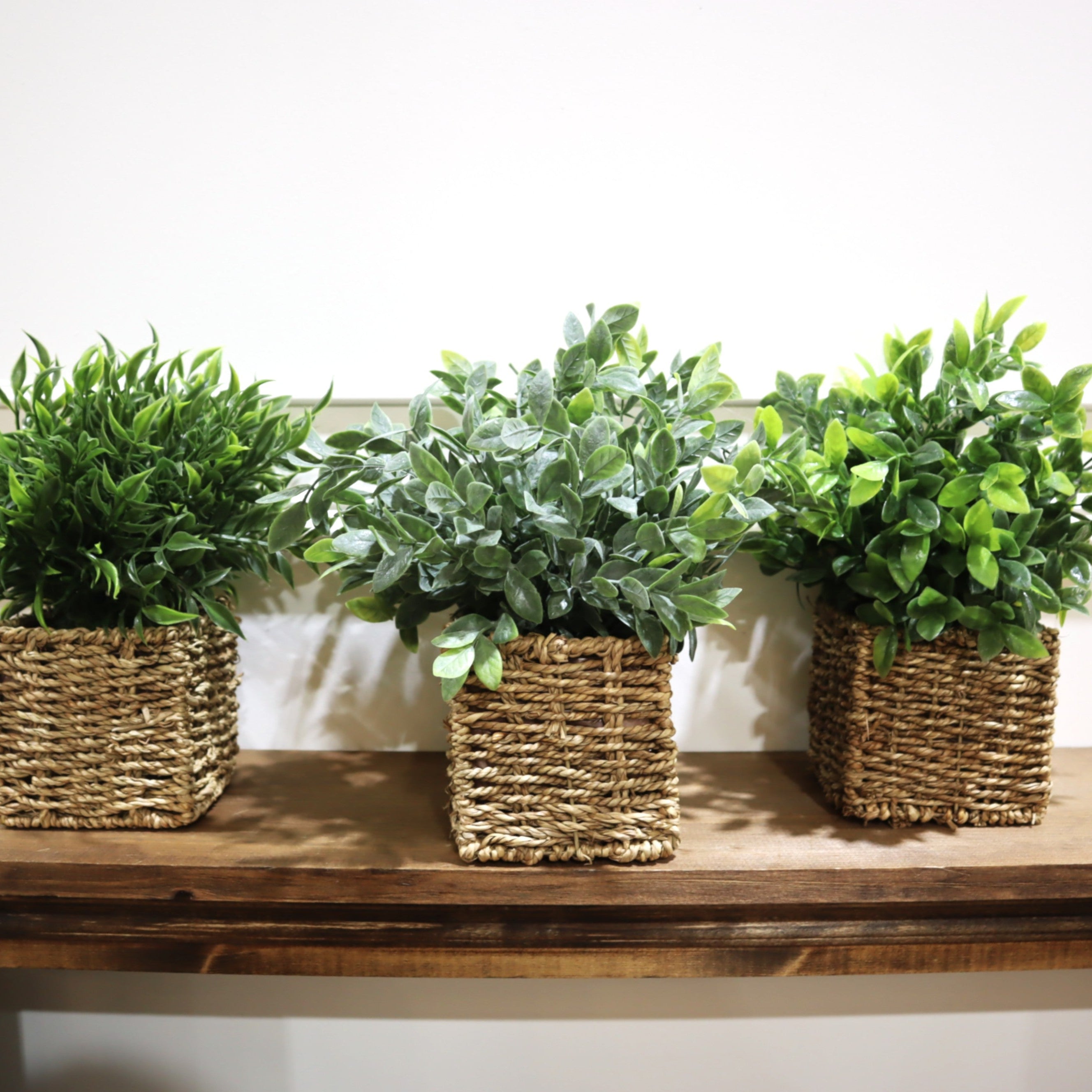 woven baskets for indoor plants Assorted 13 Inch Herb in Square Woven Basket – Fig & Fern