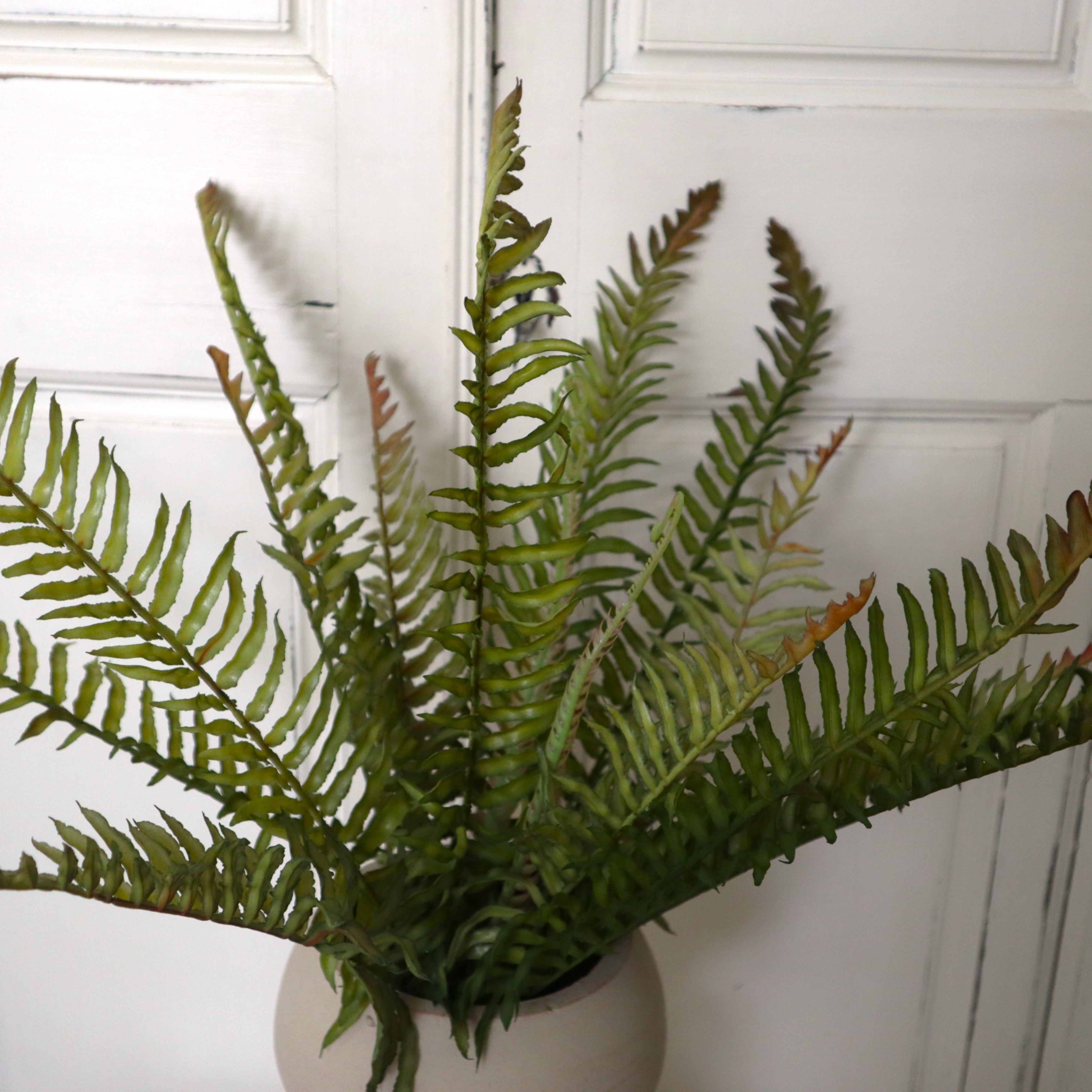Boston Fern Bush rust/sage