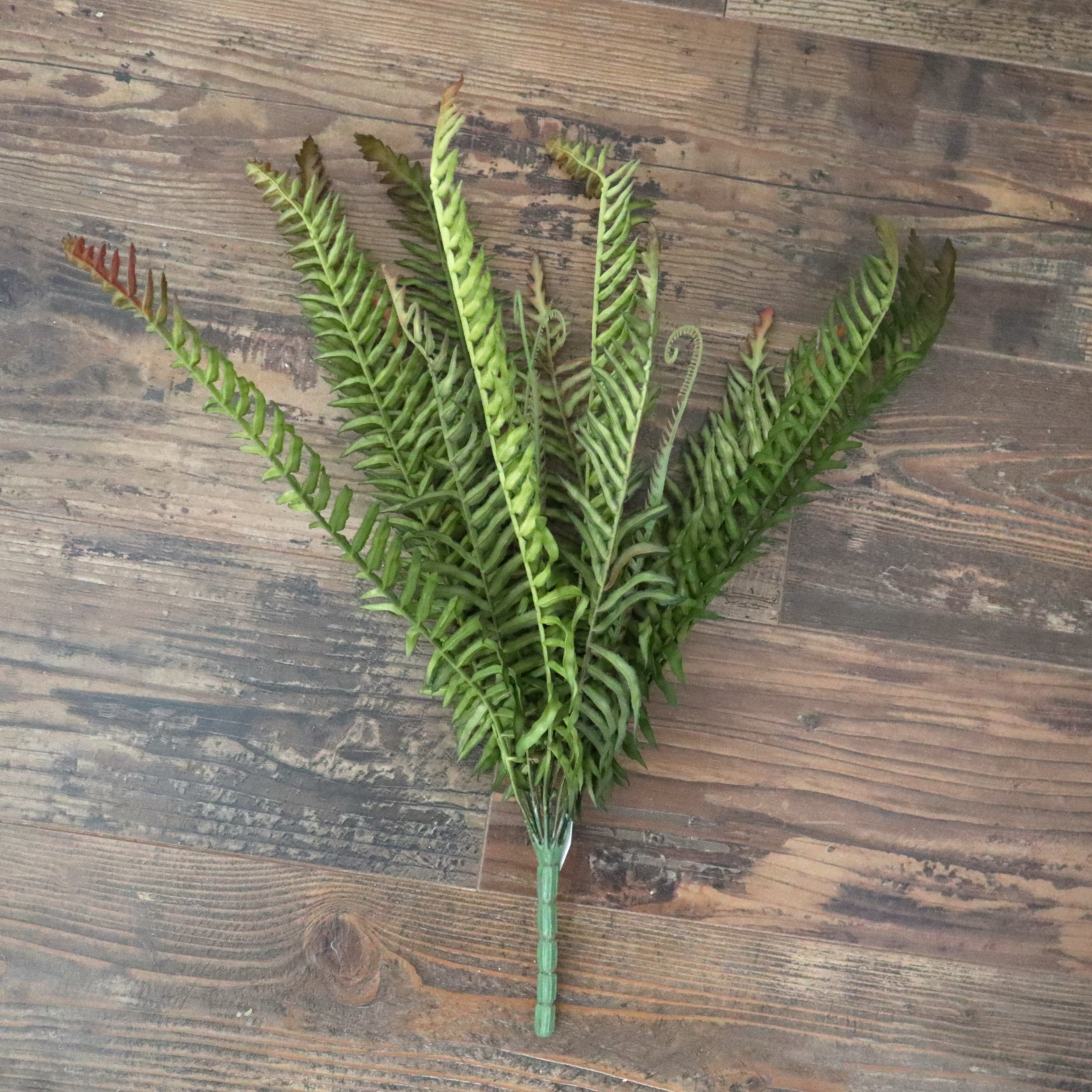Boston Fern Bush rust/sage