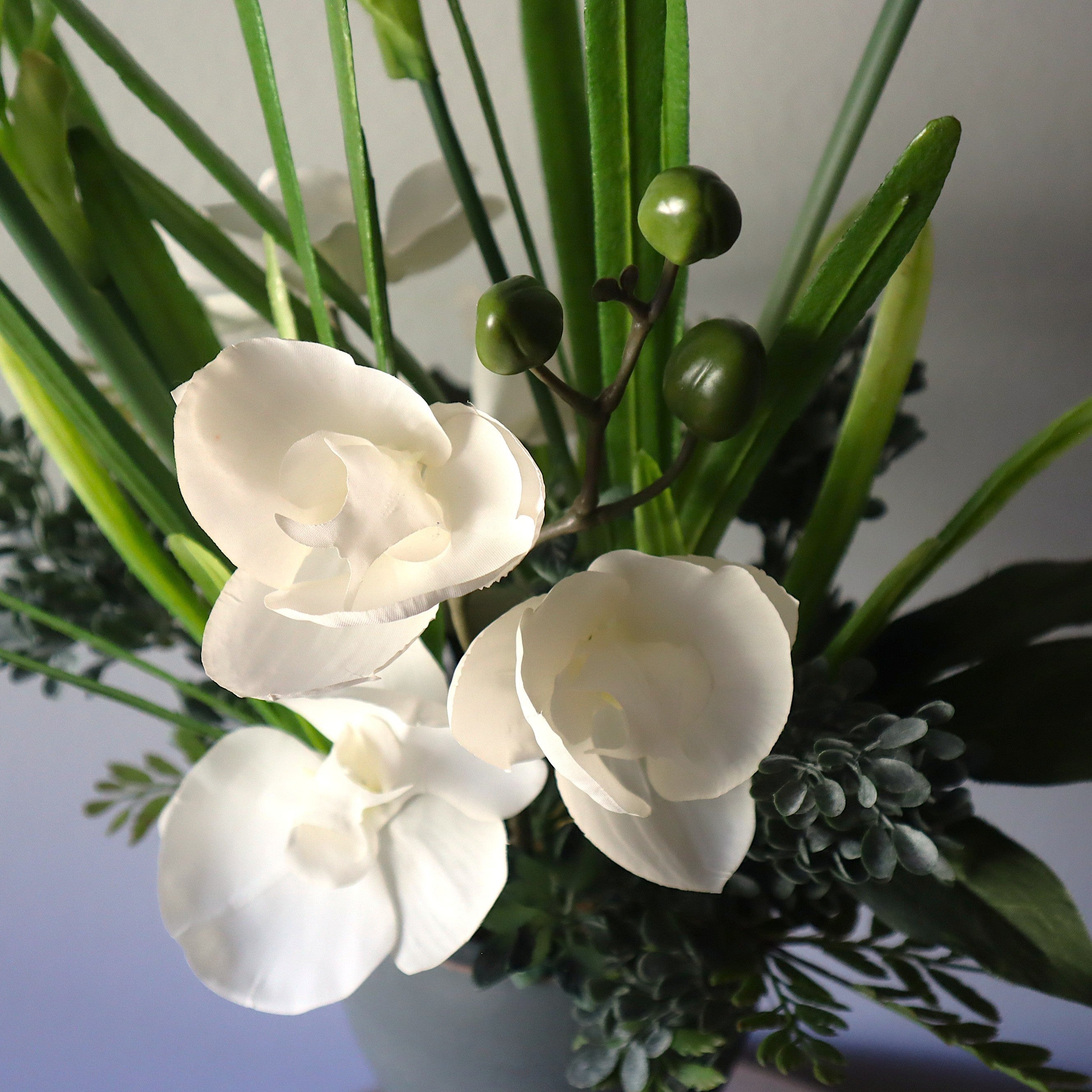 Sierra's Blooms