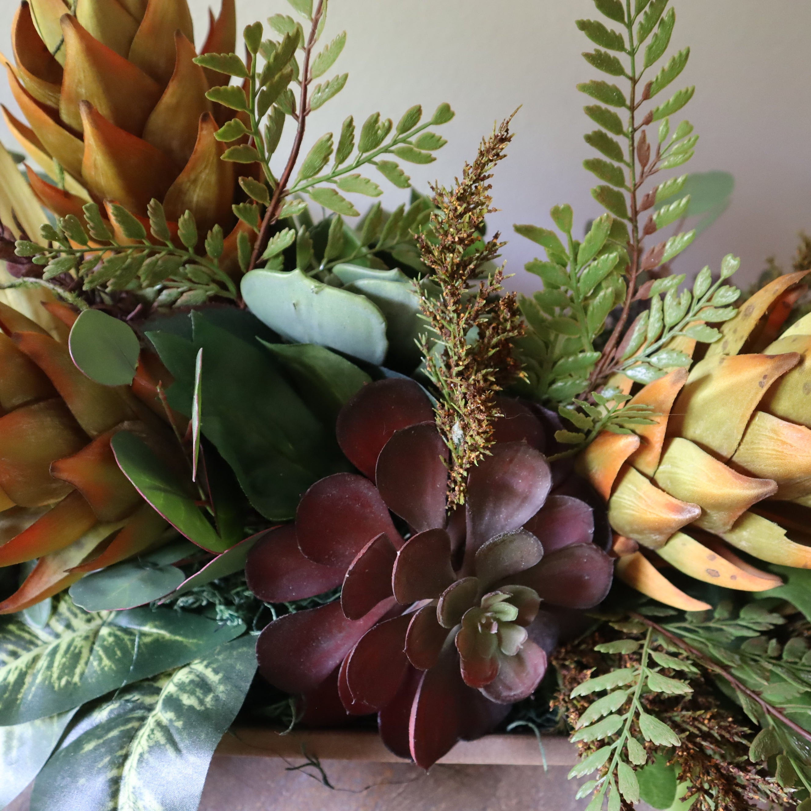 A Succulent Summer