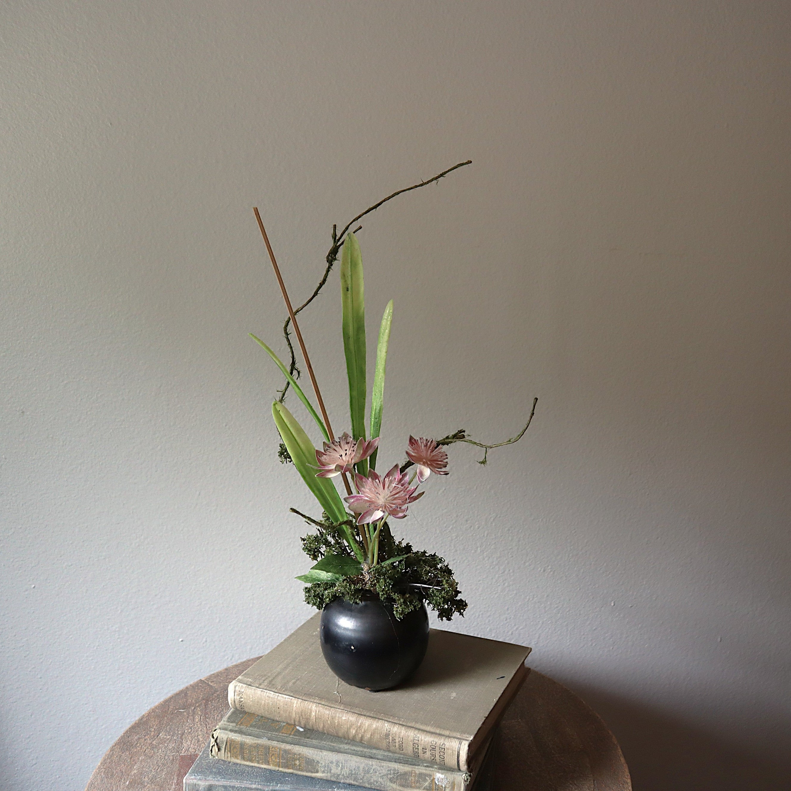 Lily
