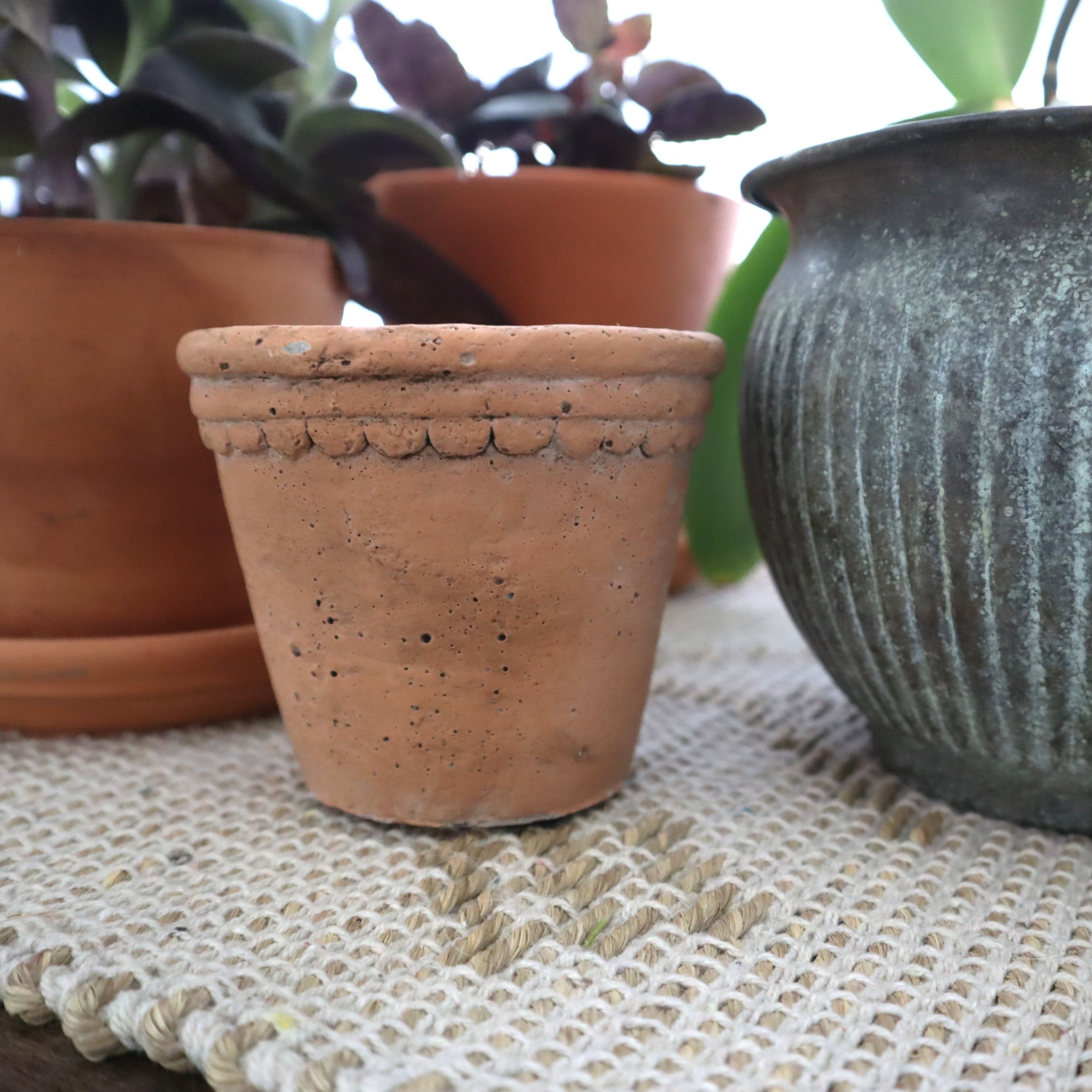 Cement Scalloped Pot, Terracotta