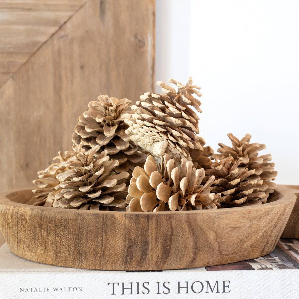 12 PC BLEACHED PINECONE BAG