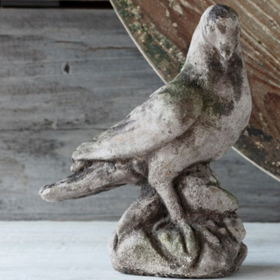 Aged Concrete Dove
