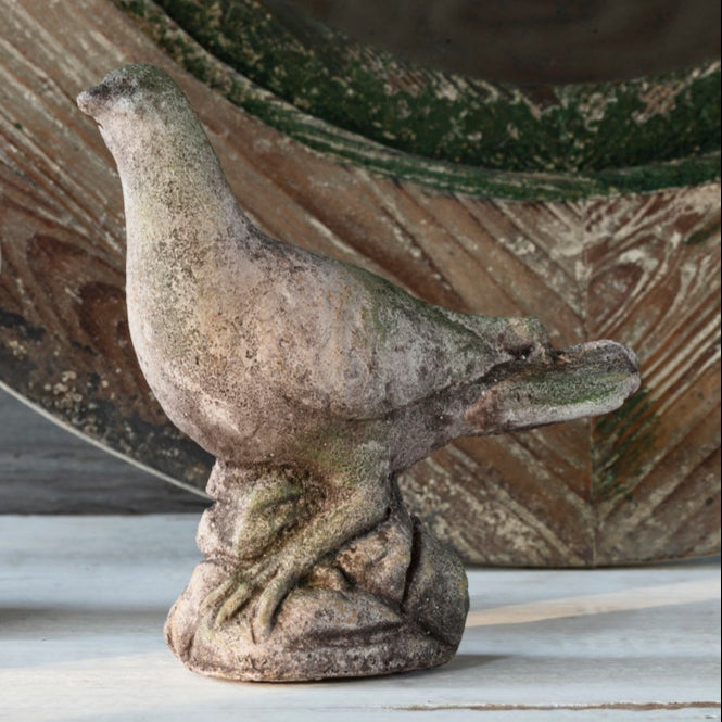 Aged Concrete Dove