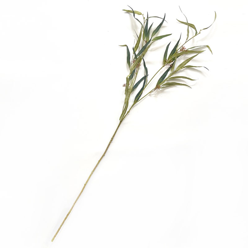 Willow Seeded Eucalyptus