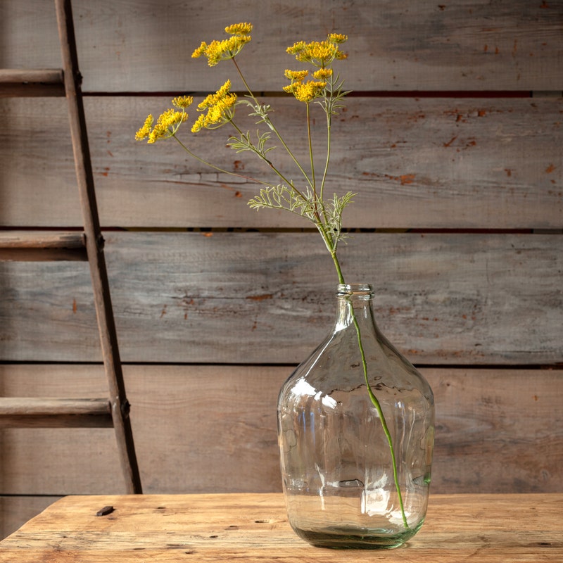 Blooming Dill Yellow