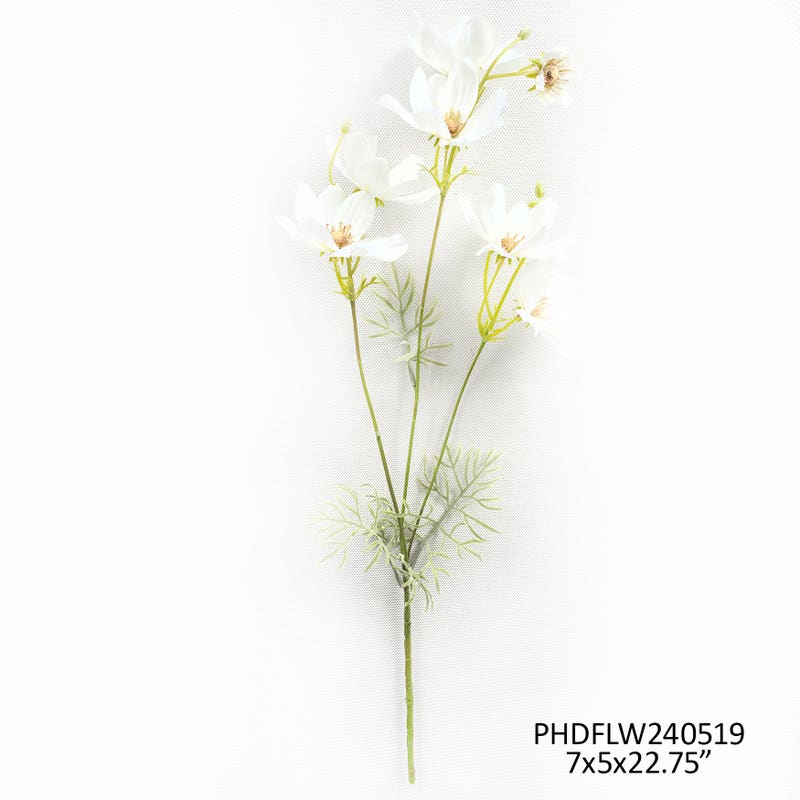 Garden Cosmos White
