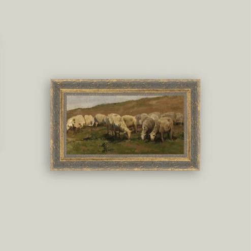 Sheep Landscape