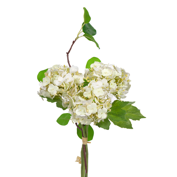 Viburnum Bundle