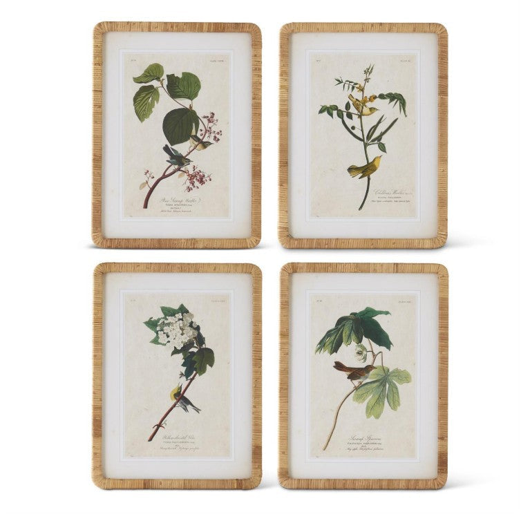 Rattan Framed Bird/Botanical Print