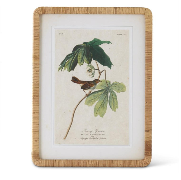 Rattan Framed Bird/Botanical Print