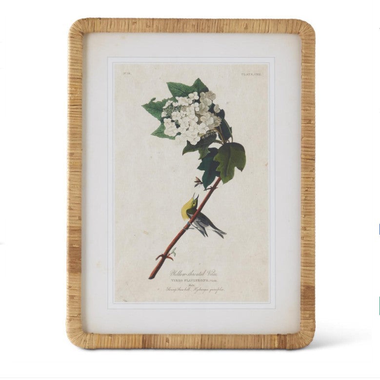 Rattan Framed Bird/Botanical Print