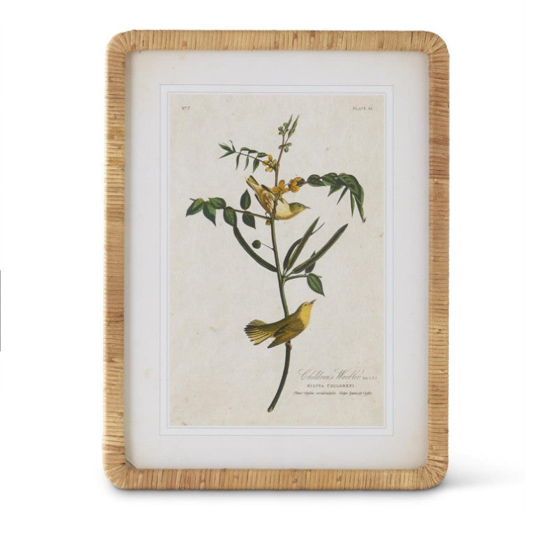 Rattan Framed Bird/Botanical Print