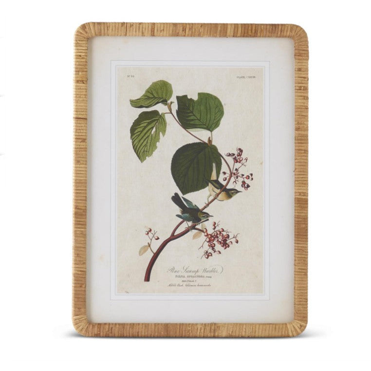 Rattan Framed Bird/Botanical Print