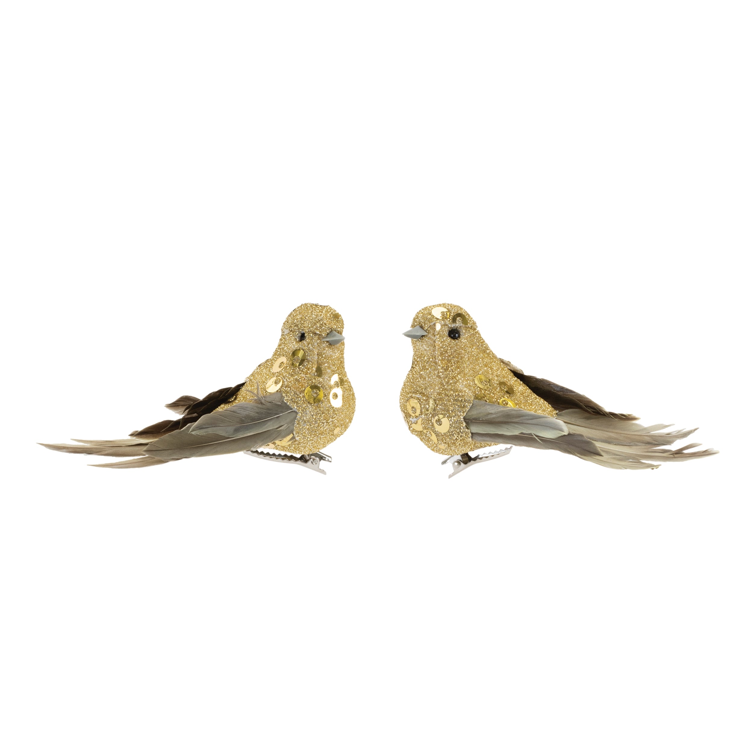 Bird Clip
