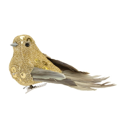 Bird Clip