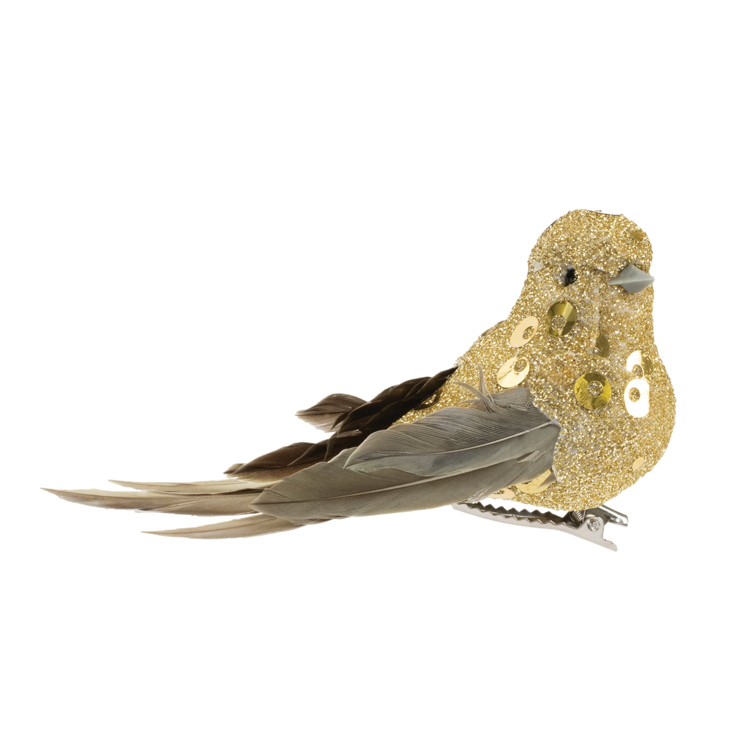 Bird Clip