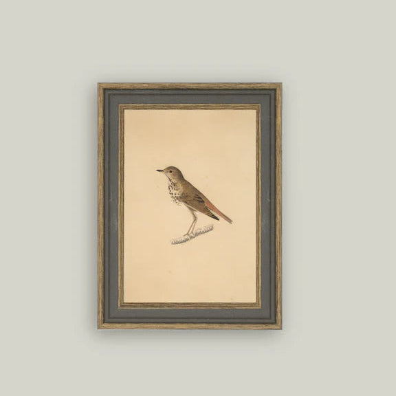 Bird Print