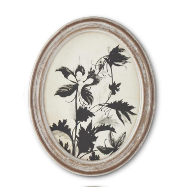 Wood Framed Oval Black & White Botanical Prints