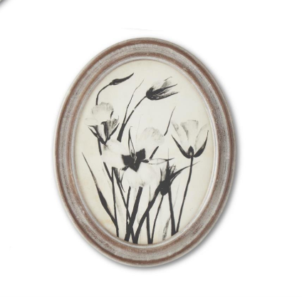 Wood Framed Oval Black & White Botanical Prints