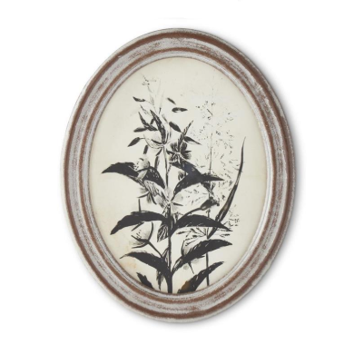 Wood Framed Oval Black & White Botanical Prints