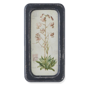 Black Framed Botanical Prints