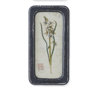 Black Framed Botanical Prints
